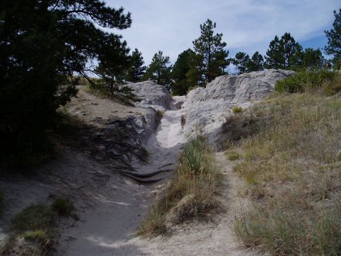 2000 Ford E350 - A sandy and rocky trail winds through a natural landscape with scattered trees and vegetation.