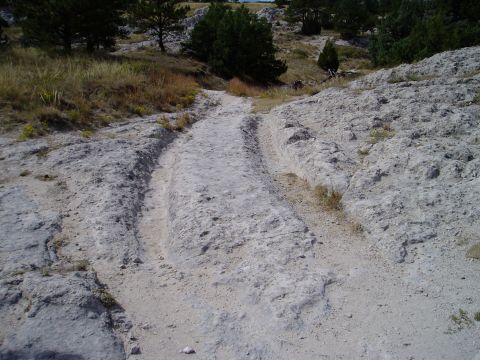 2000 Ford E350 - Tire tracks mark a path through a , rocky terrain, suggesting off-road vehicle use.