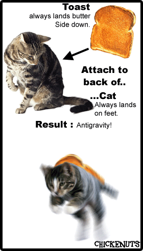 1989 Ford Bronco - A meme a cat and a tiger with overlaid text.