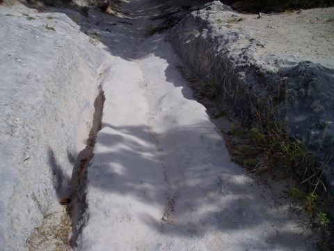 2000 Ford E350 - This scene shows an off-road track with deep tire ruts, suggesting vehicle passage.