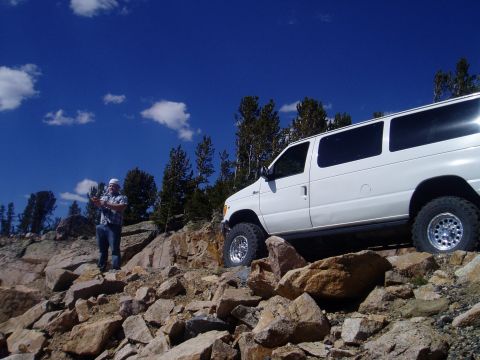 misc pics