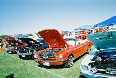1972 Ford Ranchero - A row of classic Ford Mustangs are displayed with their hoods open at an outdoor car show.