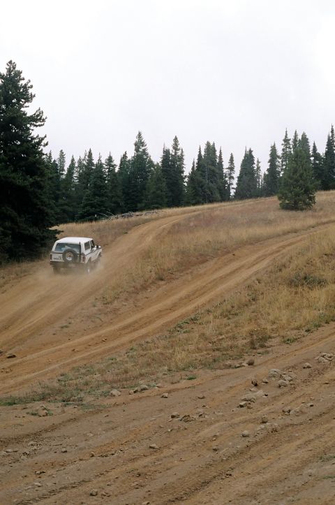 1979 Ford Bronco - A white 1979 Ford Bronco navigates a dusty trail through a wooded hillside.