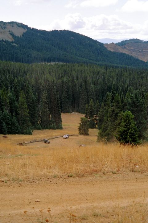 1979 Ford Bronco - A white SUV is visible in a clearing surrounded by dense forest and rolling hills.