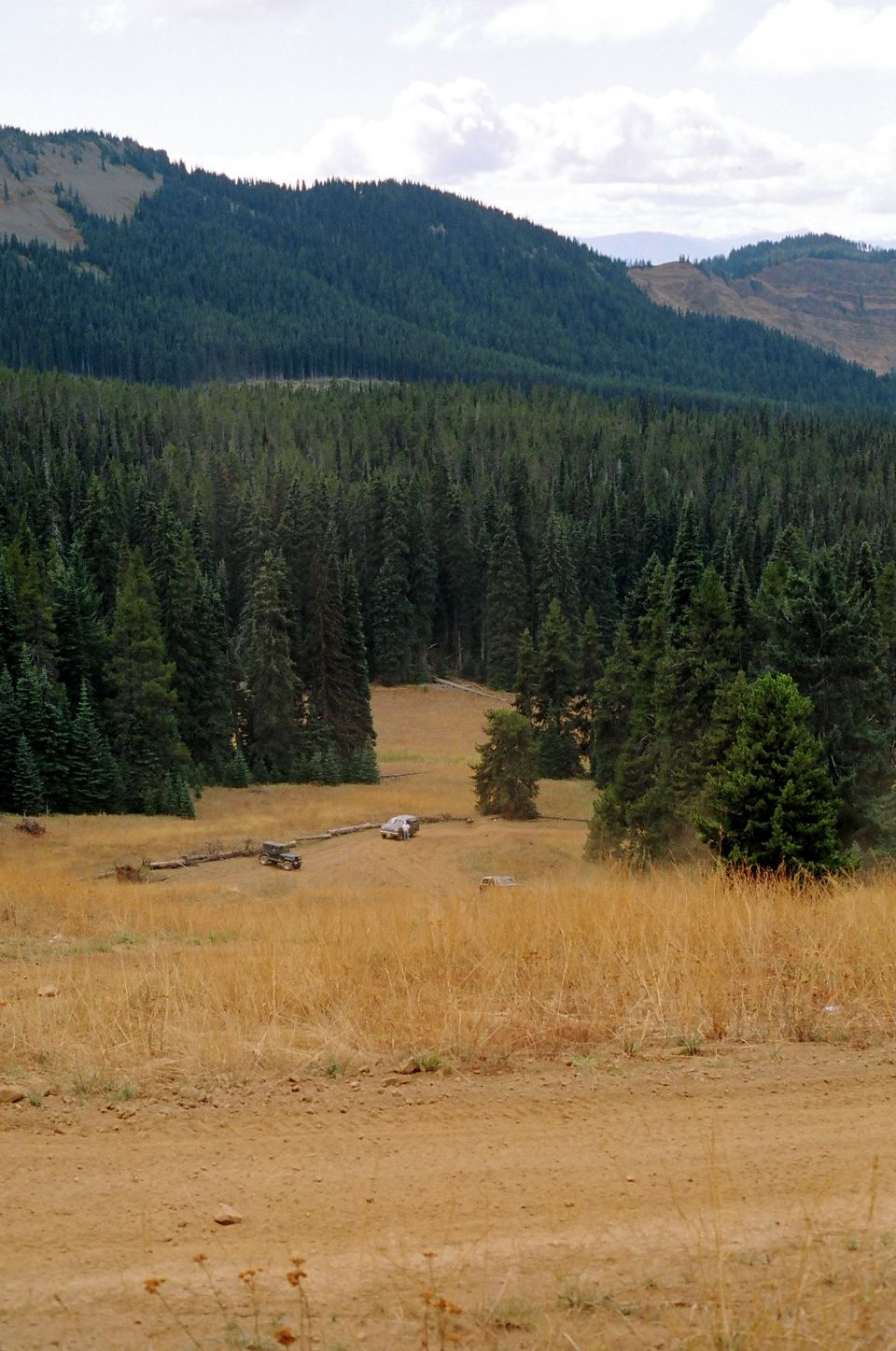 White SUV parked in a grassy field with a forest and mountains in the background