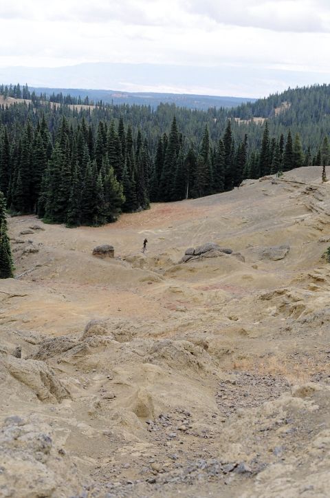 1979 Ford Bronco - A lone figure traverses a , rocky terrain with a dense pine forest stretching across the horizon.