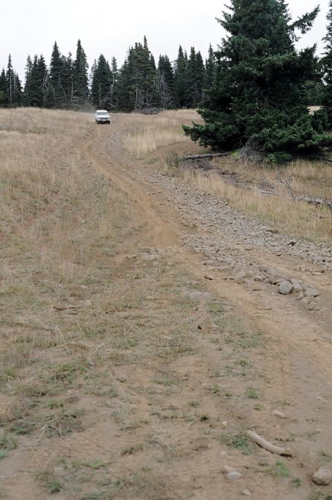 1979 Ford Bronco - A white SUV navigates a rough dirt track in a wooded, grassy area.