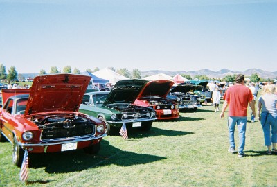 1972 Ford Ranchero - Several classic Ford Mustangs are displayed with their hoods open at an outdoor car show.