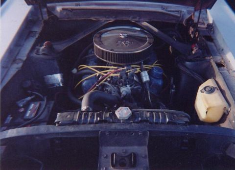 1968 Mercury Cougar - Engine bay view of a 1968 Mercury Cougar, showing the V8 engine and its components.
