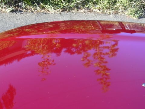 1997 Ford Probe - Post-wax reflection