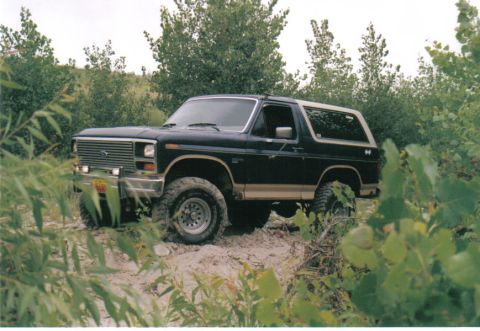 1986 Ford Bronco - My Baby