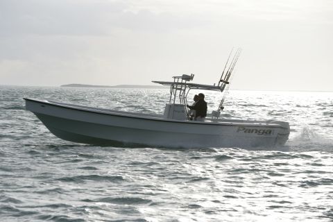 2006 Panga Fishing Boats 22