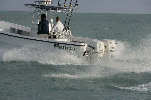 2006 Panga Fishing Boats 22