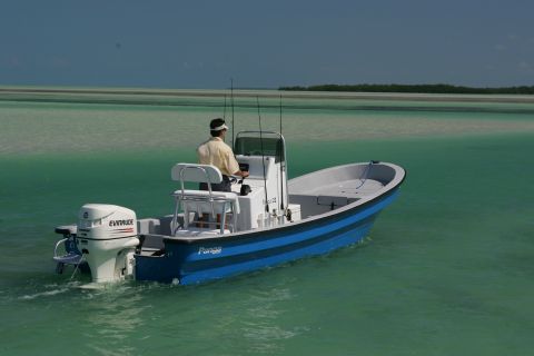 2006 Panga Fishing Boats 22