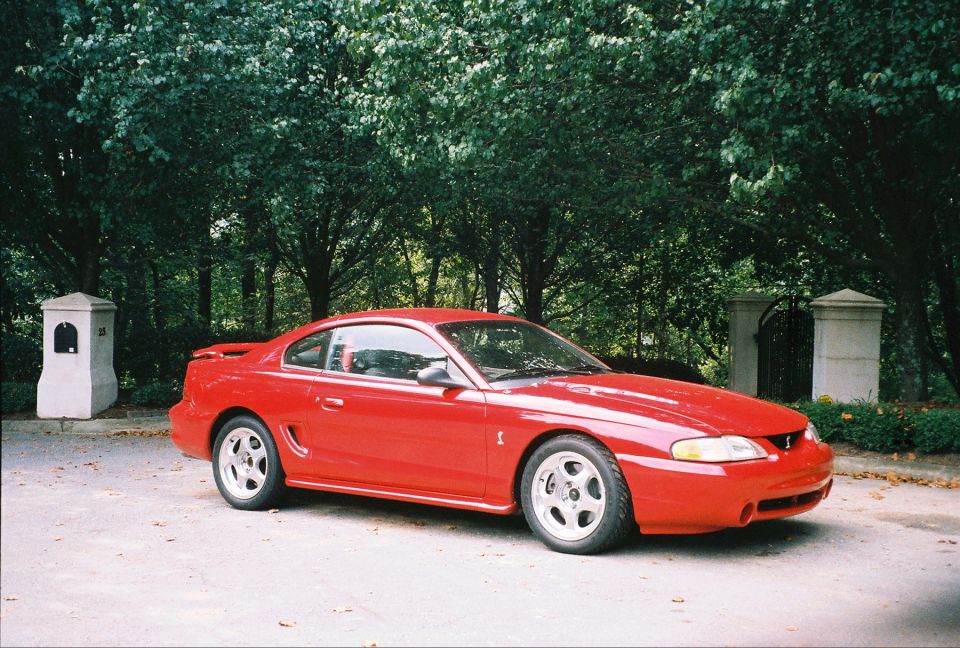 Red Ford Mustang SVT Cobra coupe parked at a tree-lined estate gate