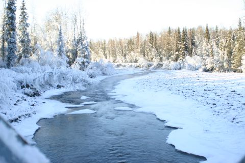 2003 Jeep TJ - A cold winter day along a riverbank, with snow and ice covering the trees and ground.