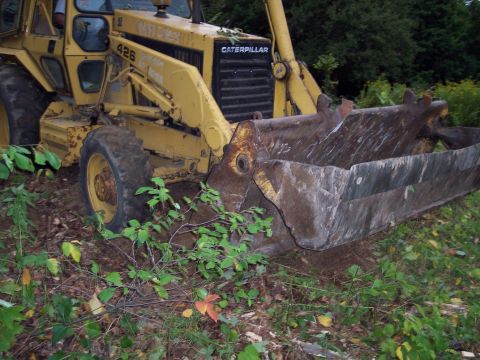 2001 Ford Crown Victoria - A yellow backhoe loader is partially obscured by foliage, with '426' and 'CATERPILLAR' visible on its body.