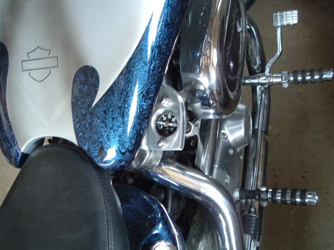 2000 Harley-Davidson Sportster - Close-up view of a motorcycle's fuel tank and engine components, showing custom paint and chrome details.