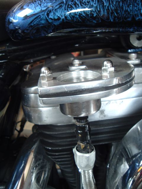 2000 Harley-Davidson Sportster - Detail shot of a motorcycle's engine components, a custom blue painted fuel tank.