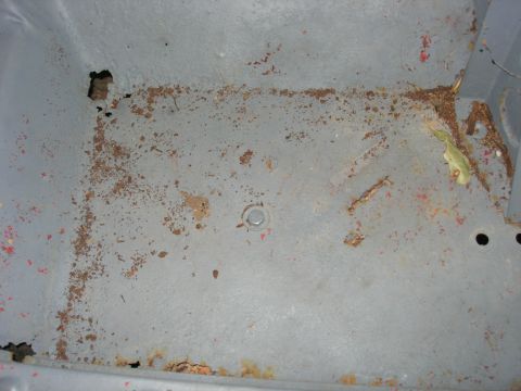 1954 Jeep Wrangler - Close-up of a corroded vehicle floor pan, showing significant rust damage and holes.
