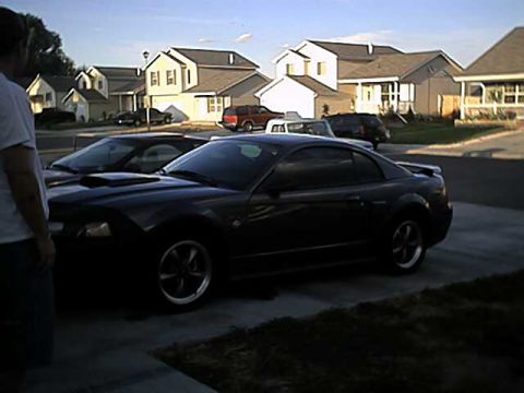 2004 Ford Mustang photo