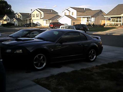 2004 Ford Mustang photo