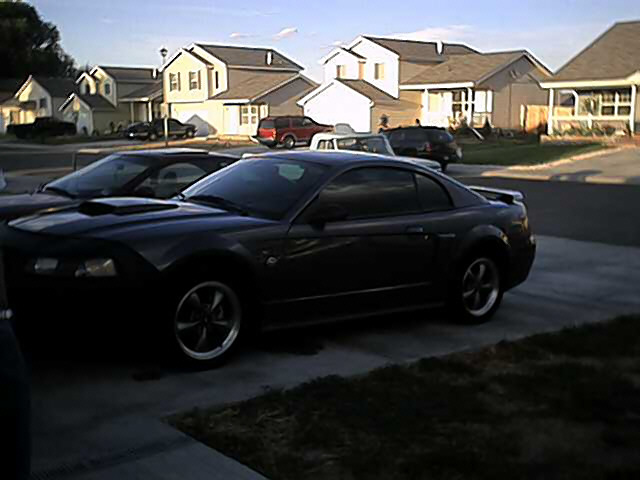 Black 2004 Ford Mustang coupe parked in driveway