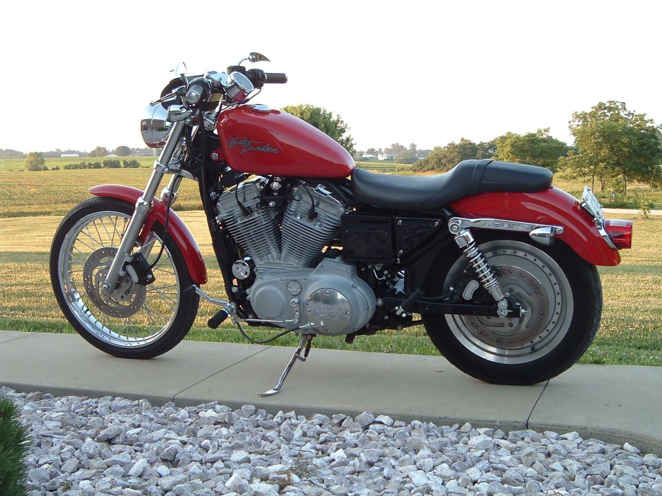 2002 Harley-Davidson Sportster Custom