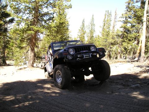 1989 Ford Bronco - A Jeep navigates a sandy, wooded trail during an off-road excursion.