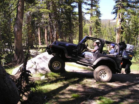 1989 Ford Bronco - A black Jeep Wrangler TJ maneuvers over a large rock on a wooded trail.