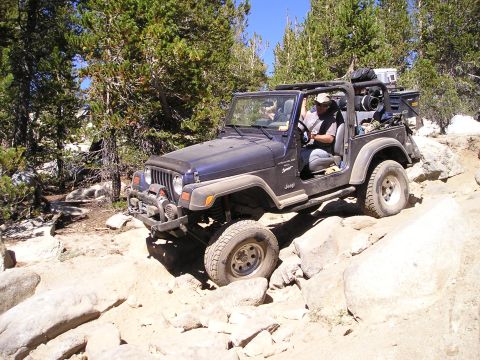 1989 Ford Bronco - Jeep Wrangler TJ tackling a challenging off-road path with large rocks and trees.