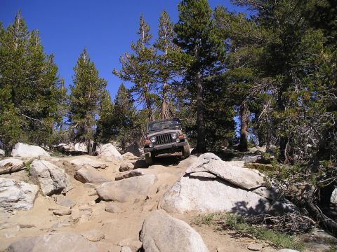 1989 Ford Bronco - A Jeep Wrangler navigates a challenging rocky path surrounded by tall pine trees under a bright blue sky.