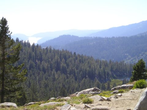 1989 Ford Bronco - A vast mountain vista with dense pine forests and a distant lake under a hazy sky.
