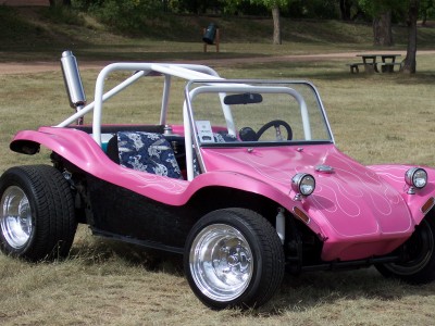 1972 Ford Ranchero - A custom pink dune buggy with a roll cage and flame decals sits on a grassy field.