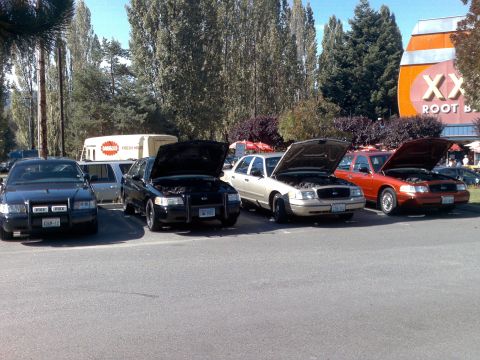 1999 Ford Crown Victoria - Four Ford Crown Victoria police interceptors are parked with their hoods open, possibly at a meet or event.
