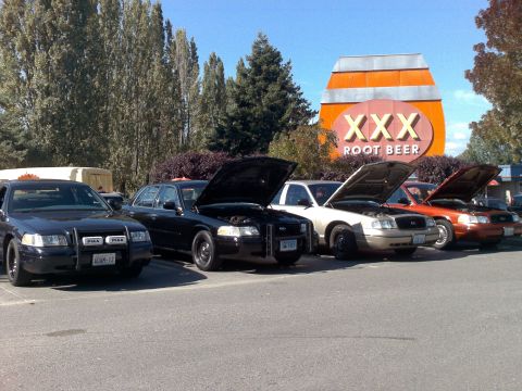 1999 Ford Crown Victoria - Several Ford Crown Victoria police cars are lined up with their hoods open in front of a XXX Root Beer establishment.