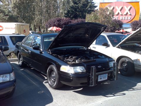 1999 Ford Crown Victoria - Two Ford Crown Victorias parked with hoods open at an event. One is black, the other is white.