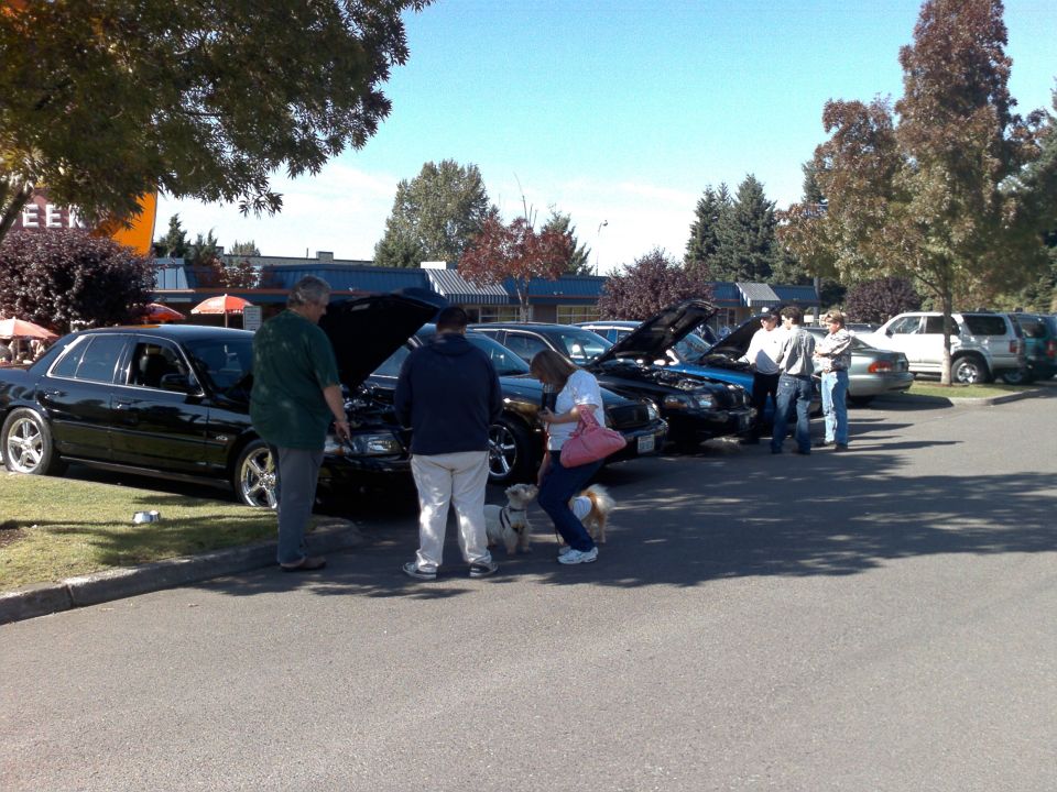1999 Ford Crown Victoria with hood open at a car meet