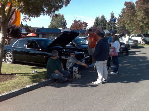 1999 Ford Crown Victoria photo