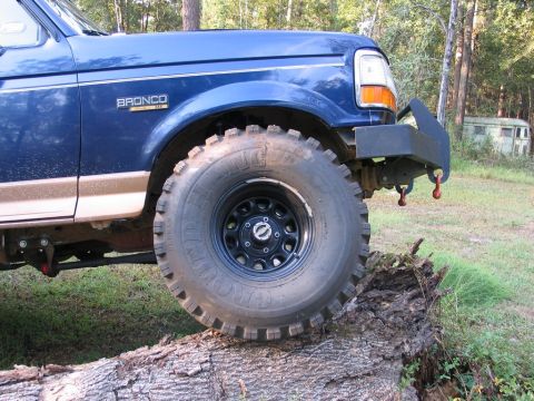 1995 Ford Bronco - A blue 1995 Ford Bronco with off-road tires is positioned on a large fallen tree trunk.