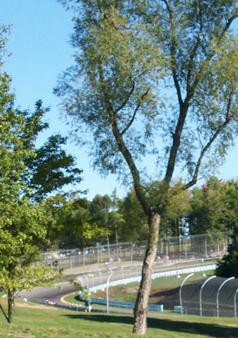 1979 Ford F-150 - A view of a race track with surrounding trees and a bright blue sky.