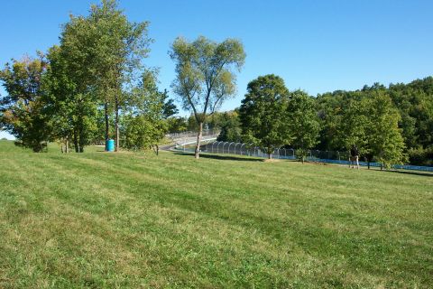1979 Ford F-150 - A wide shot of a grassy area with trees and a blue barrel, under a clear sky.