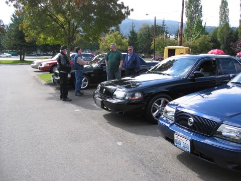1999 Ford Crown Victoria - Multiple Ford Crown Victorias are parked together in an outdoor lot with people milling about.