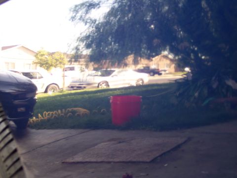 1995 Ford Probe - A white coupe is parked in a driveway with other vehicles visible in the background.