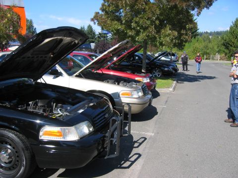 1999 Ford Crown Victoria - Several Ford Crown Victoria police cars are lined up with their hoods open on a sunny day.