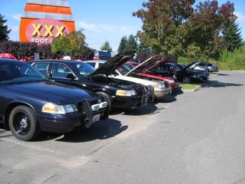 1999 Ford Crown Victoria - A line of Ford Crown Victorias are parked outside a building with a large XXX Root Beer sign.