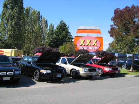1999 Ford Crown Victoria - Multiple Ford Crown Victorias are parked outside an XXX Root Beer establishment with their hoods open.