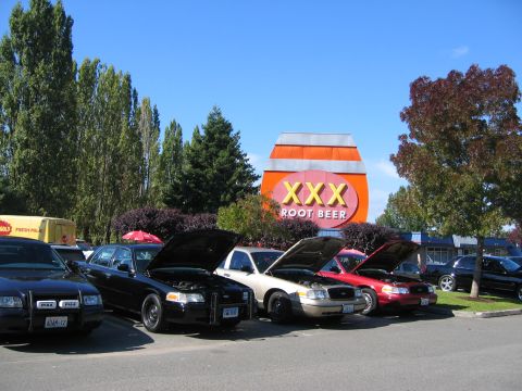 1999 Ford Crown Victoria - Several Ford Crown Victoria police cars are parked outside a XXX Root Beer establishment on a sunny day.