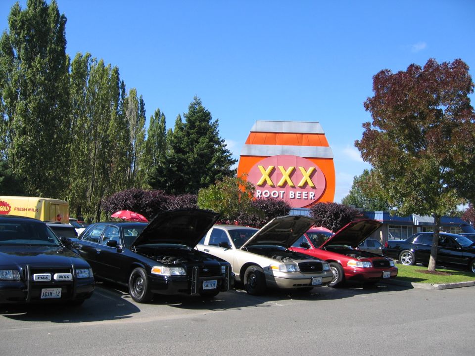 Four Ford Crown Victoria police cars parked in front of a XXX Root Beer sign. Hoods are open on three cars