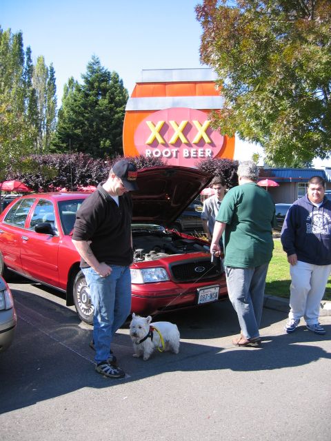 1999 Ford Crown Victoria - A red sedan with its hood open is parked outside a XXX Root Beer establishment with several people and a dog.